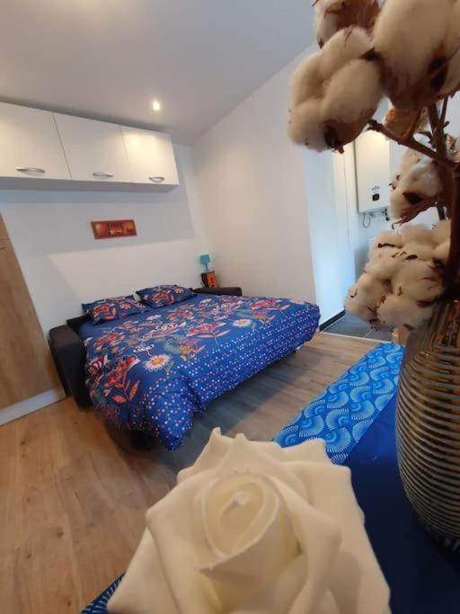 Appart'hotel, Ikimo 5 Entiers A Votre Disposition Au Choix Apartment Nancy